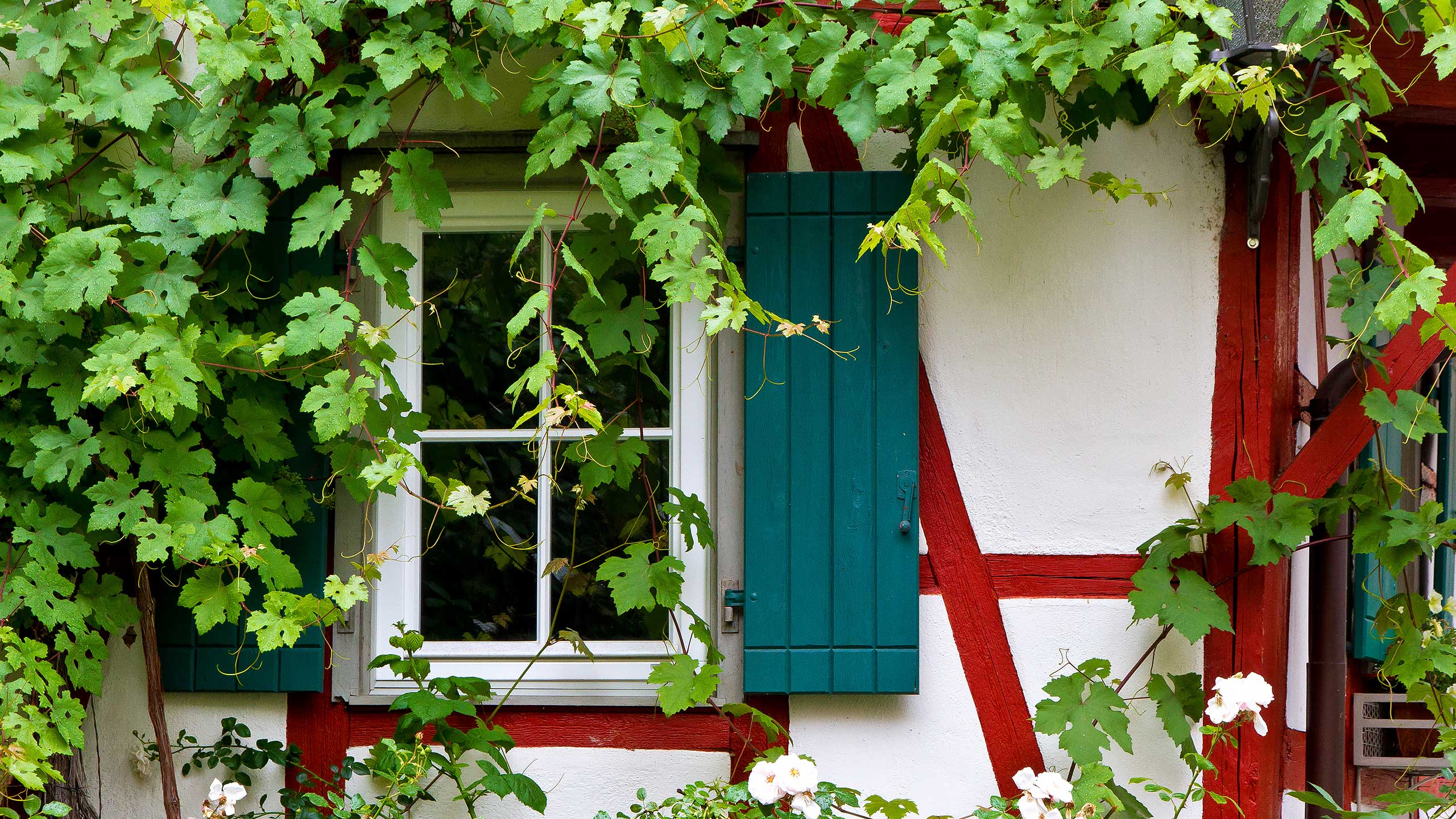 Robin Hood Real Estate Adelaide, Port Lincoln & Tumby Bay